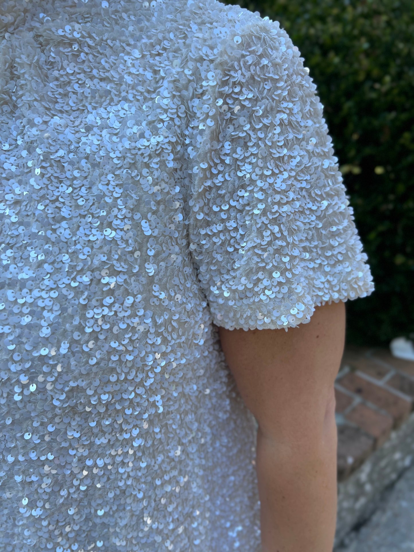 Steal The Show Sequin Embellished Mini Dress