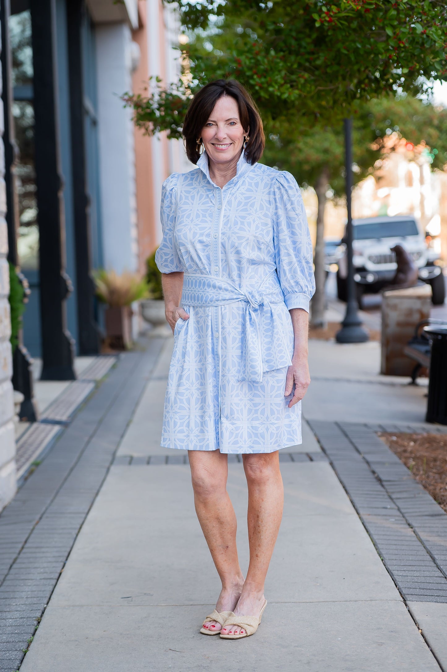Blair Geometric Print Collard Dress