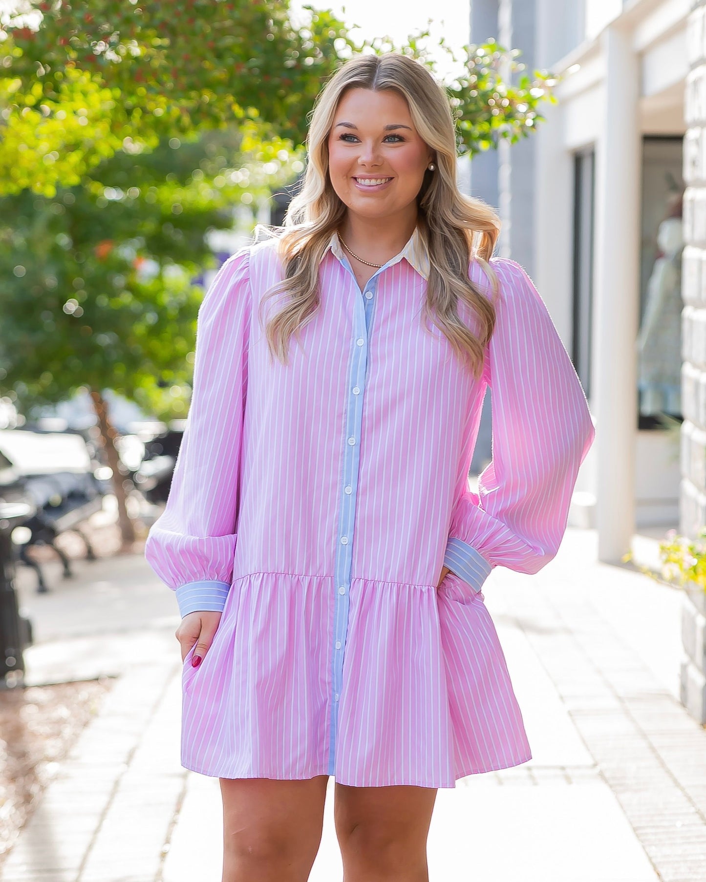 Nova Pinstripe Button Down Dress