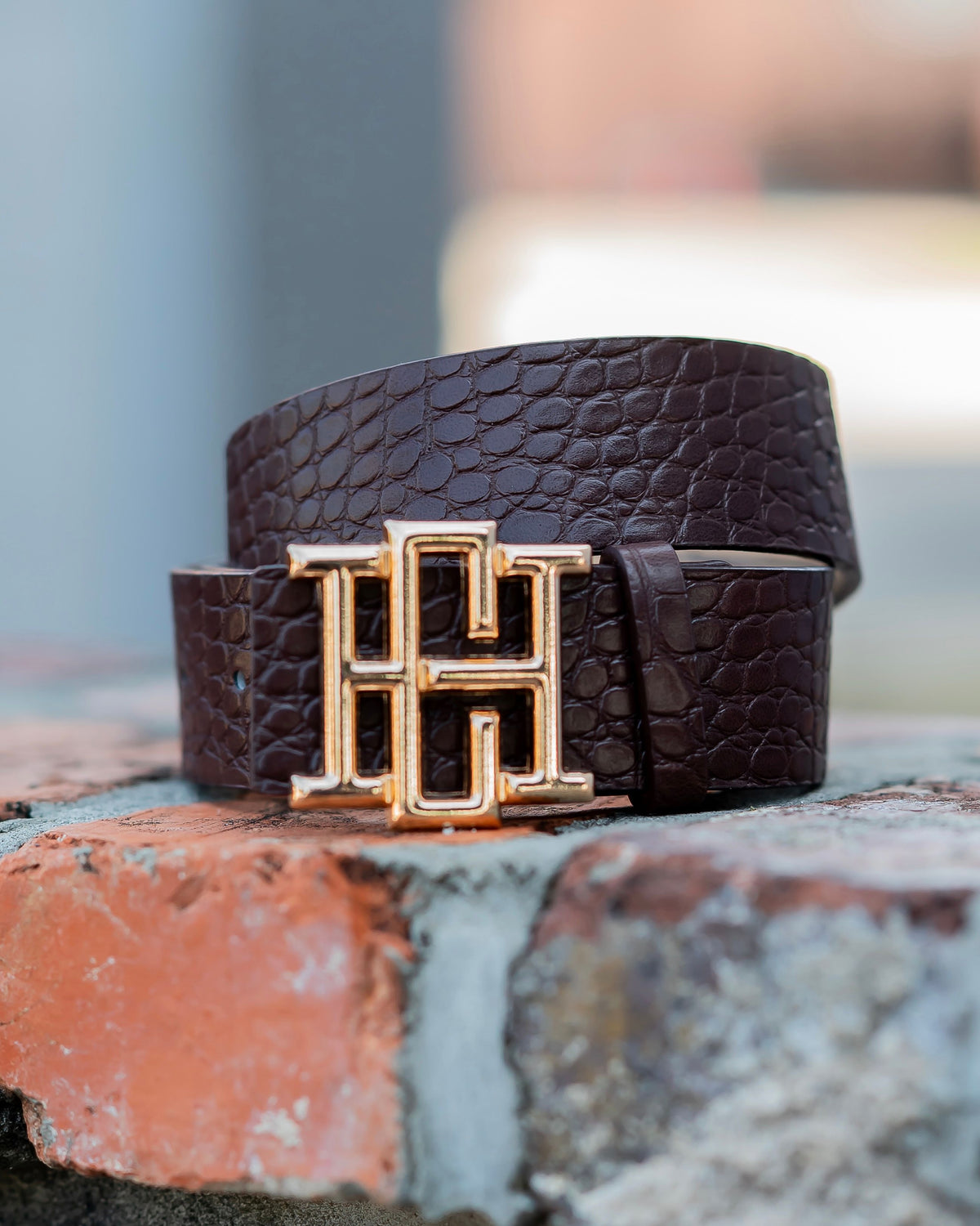 Bridgette Belt Chocolate EC