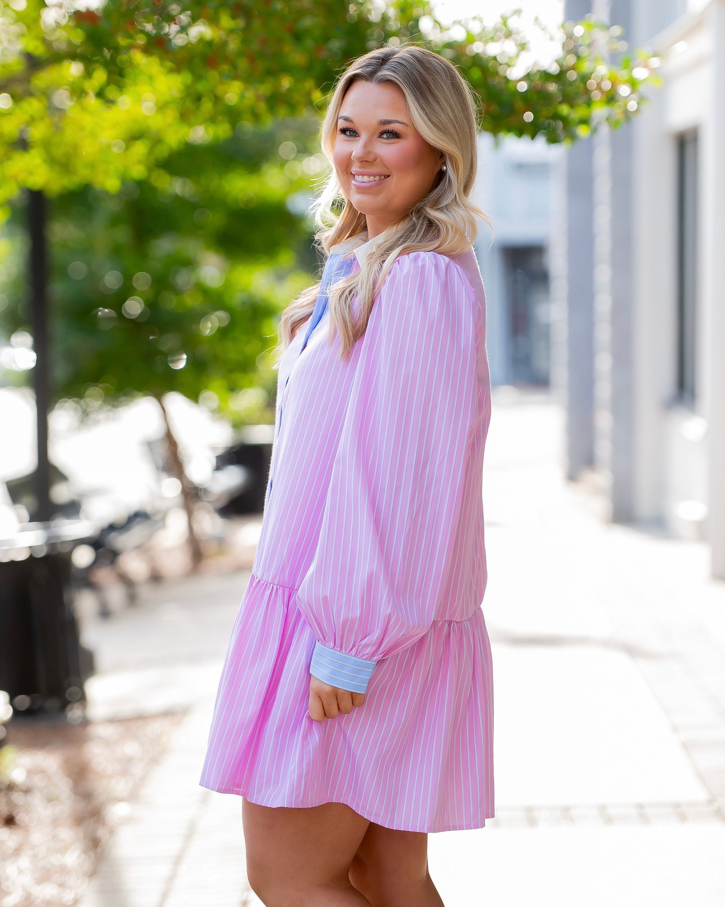 Nova Pinstripe Button Down Dress