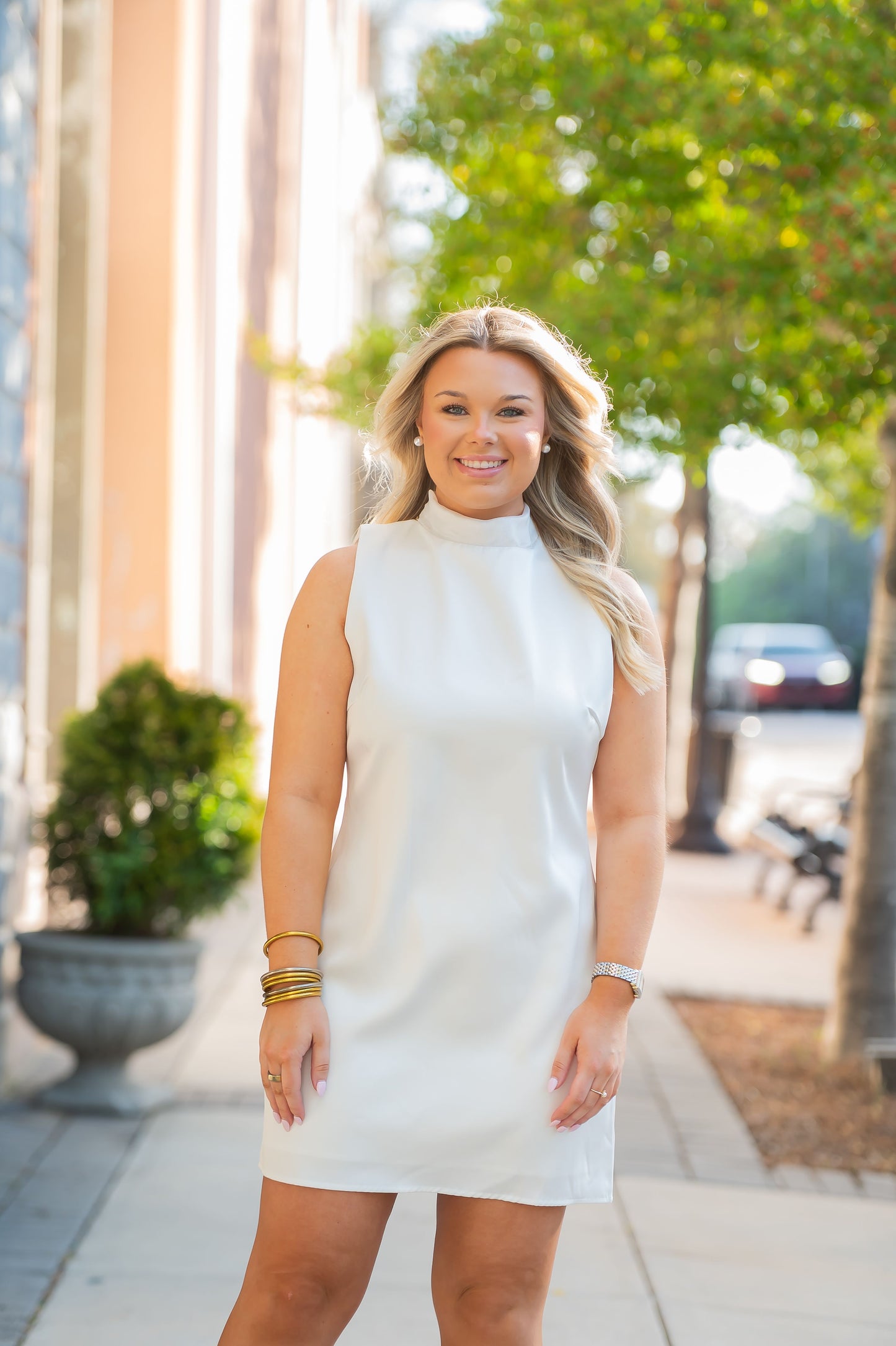 Conway Organza Scarf Satin Dress