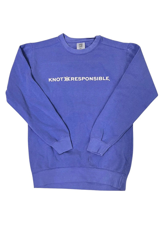 Pullover Crew Neck Sweatshirt- COASTAL BLUE / WHITE - Caroline Hill