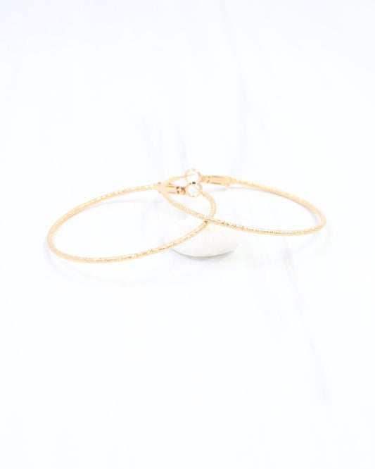 Litzy Textured Hoop Earring WR Gold