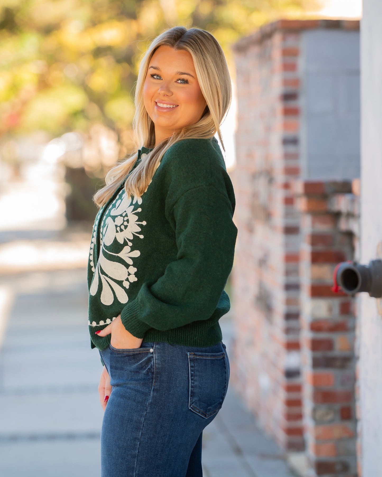 Remi Embroidered Cardigan Sweater- Green