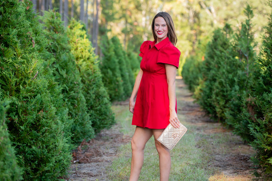 Elizabeth Utility Dress