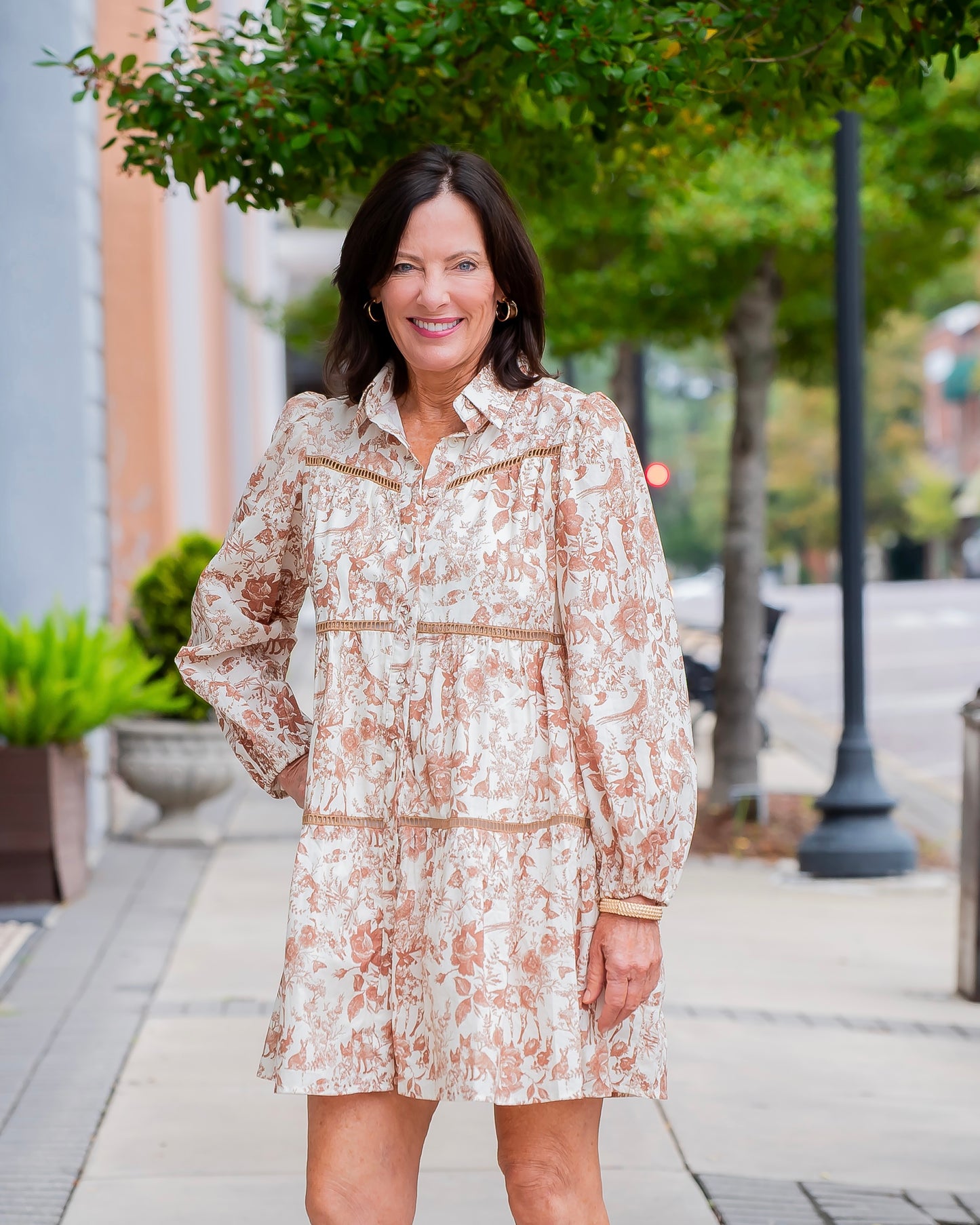 Tina Toile Button Down Dress