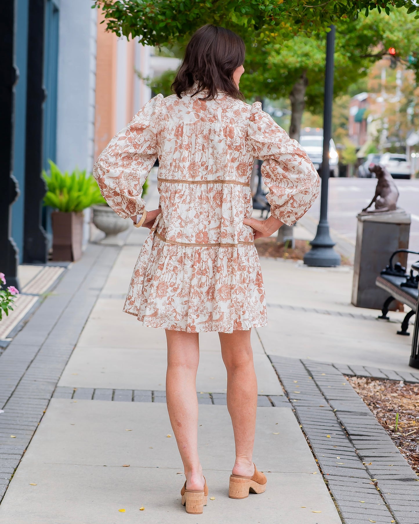Tina Toile Button Down Dress
