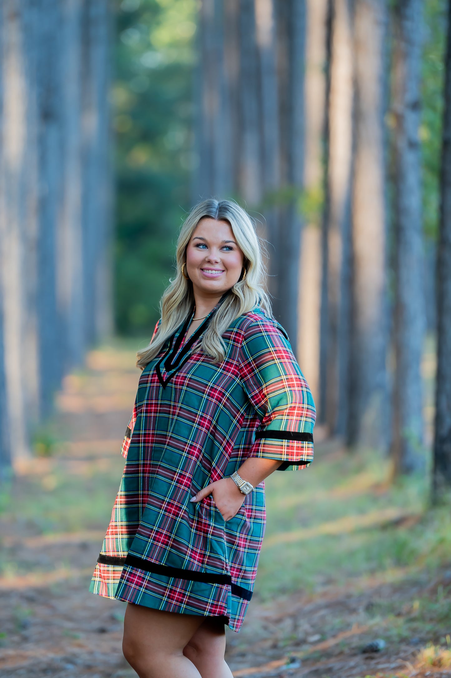 Howard 3/4 Sleeve Plaid Dress