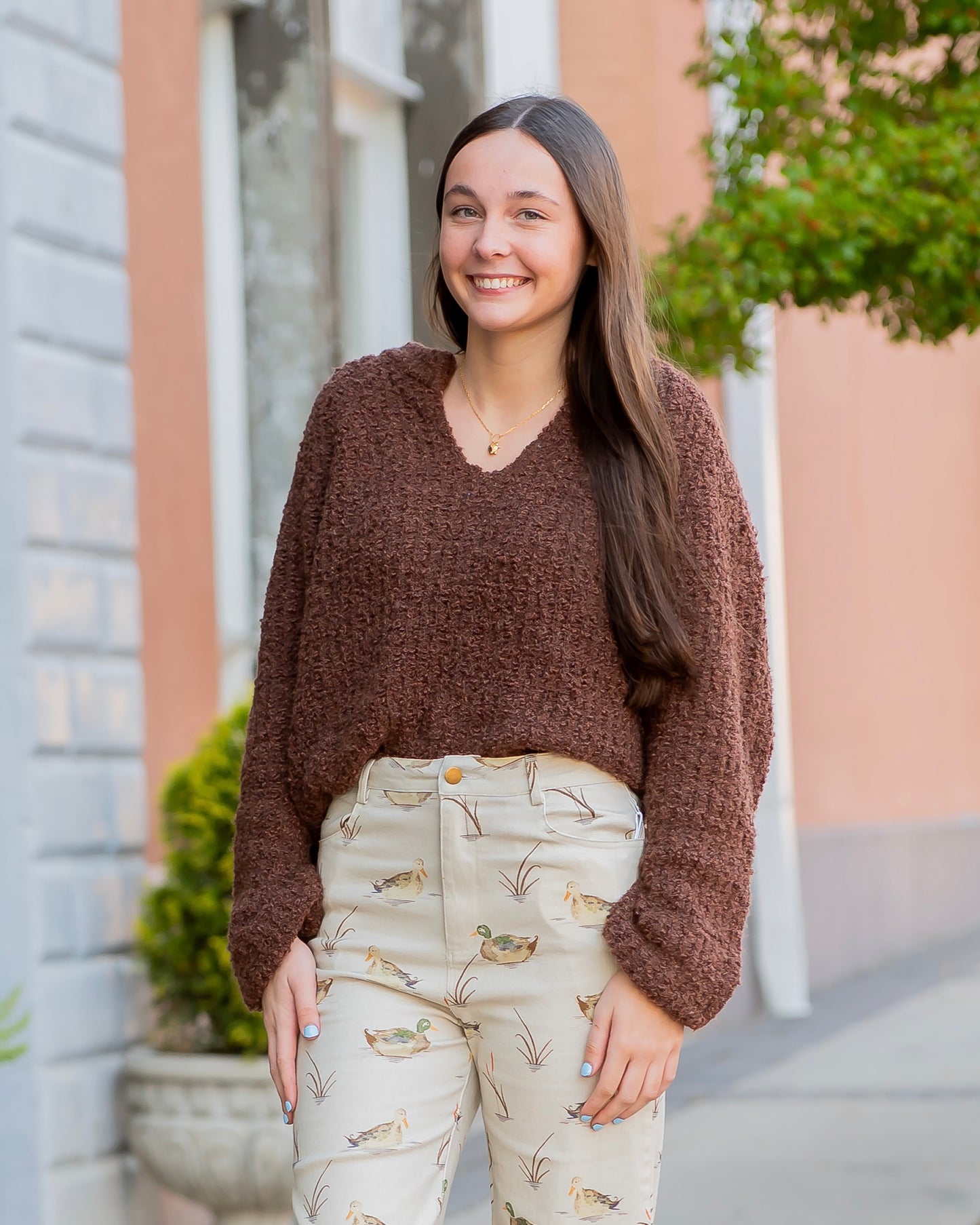 Marolyn V-Neck Sweater- Brown