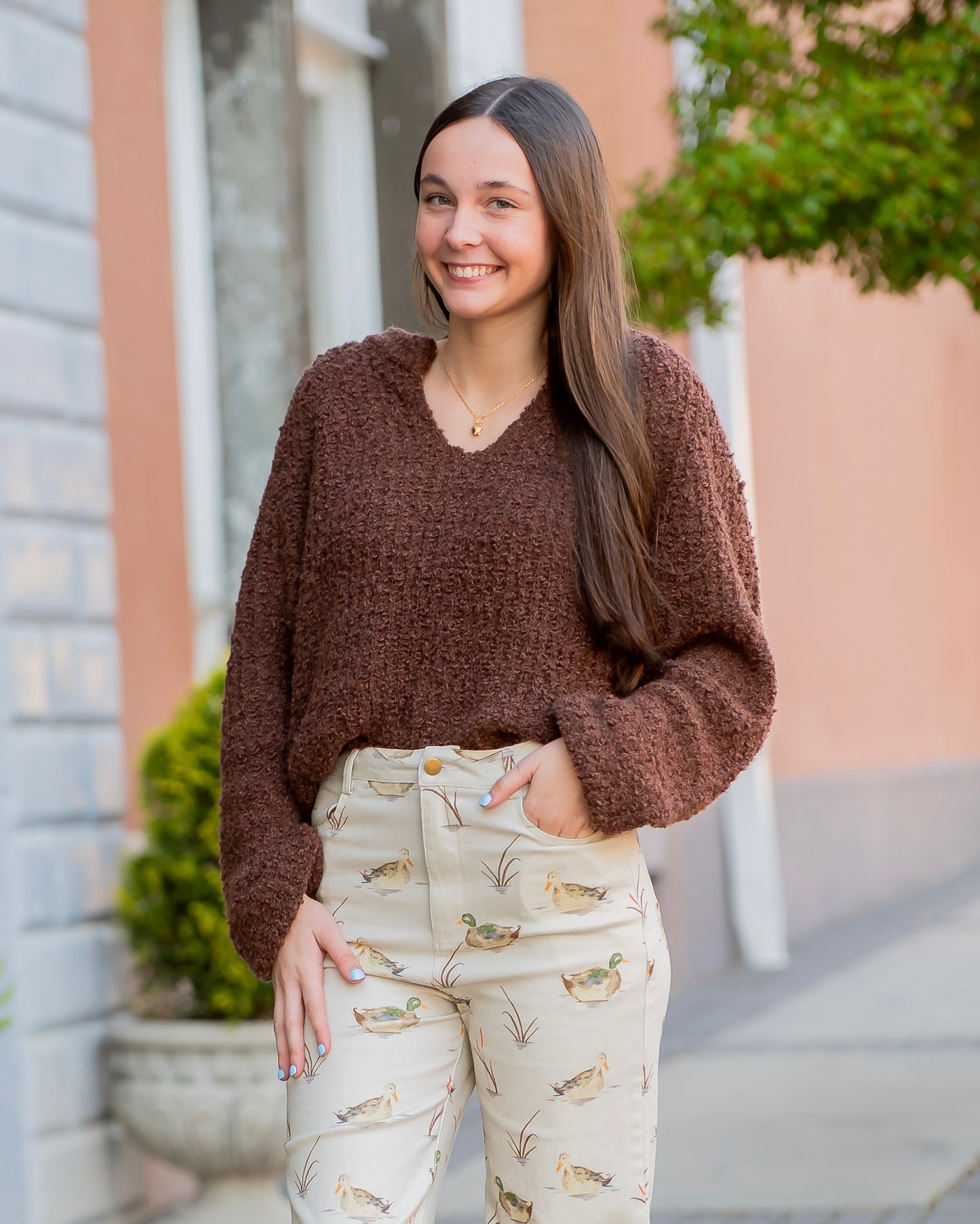 Marolyn V-Neck Sweater- Brown