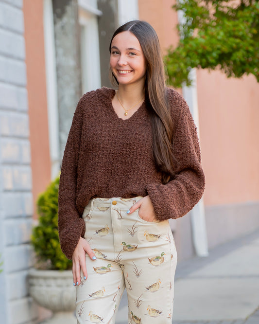 Marolyn V-Neck Sweater- Brown