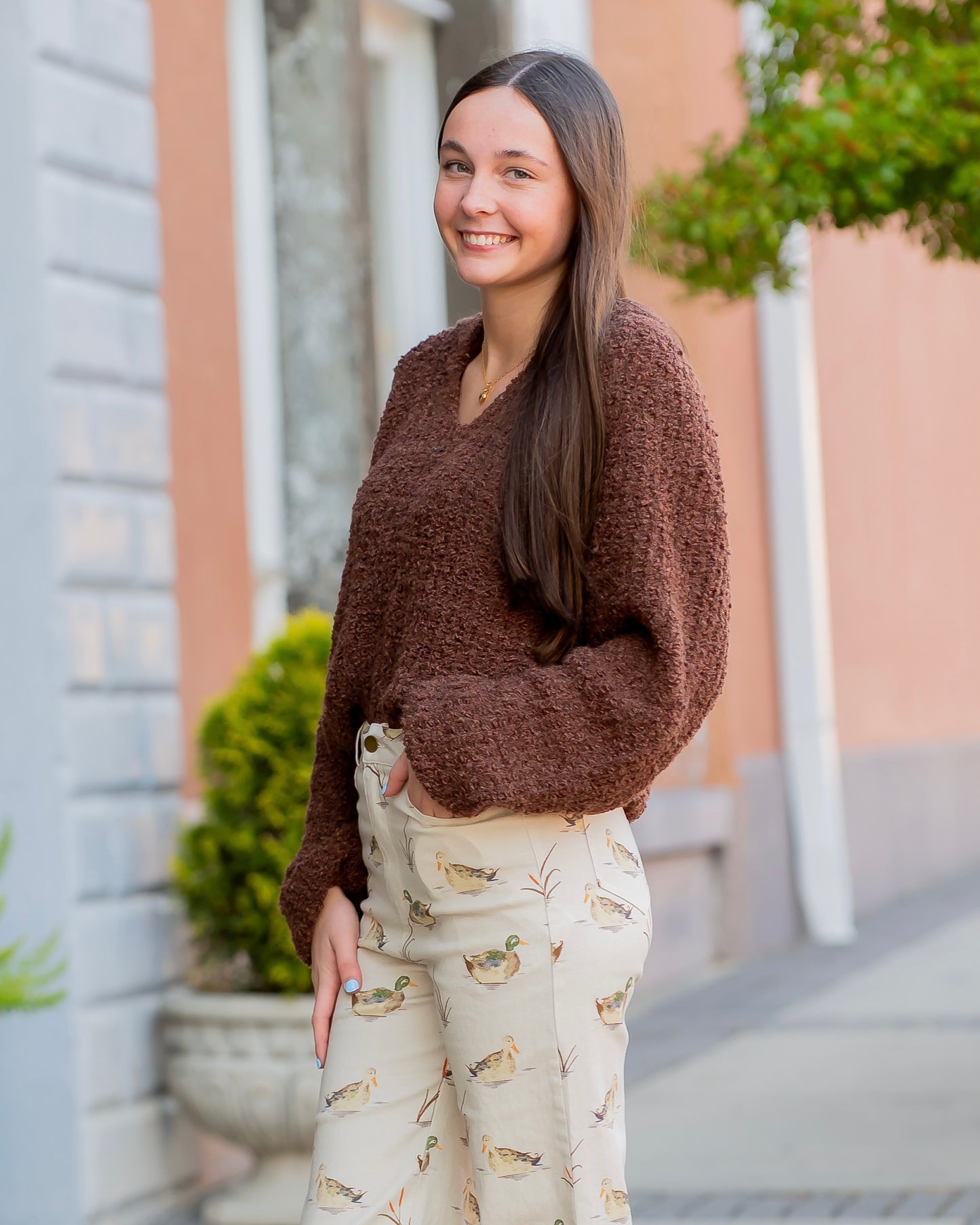 Marolyn V-Neck Sweater- Brown