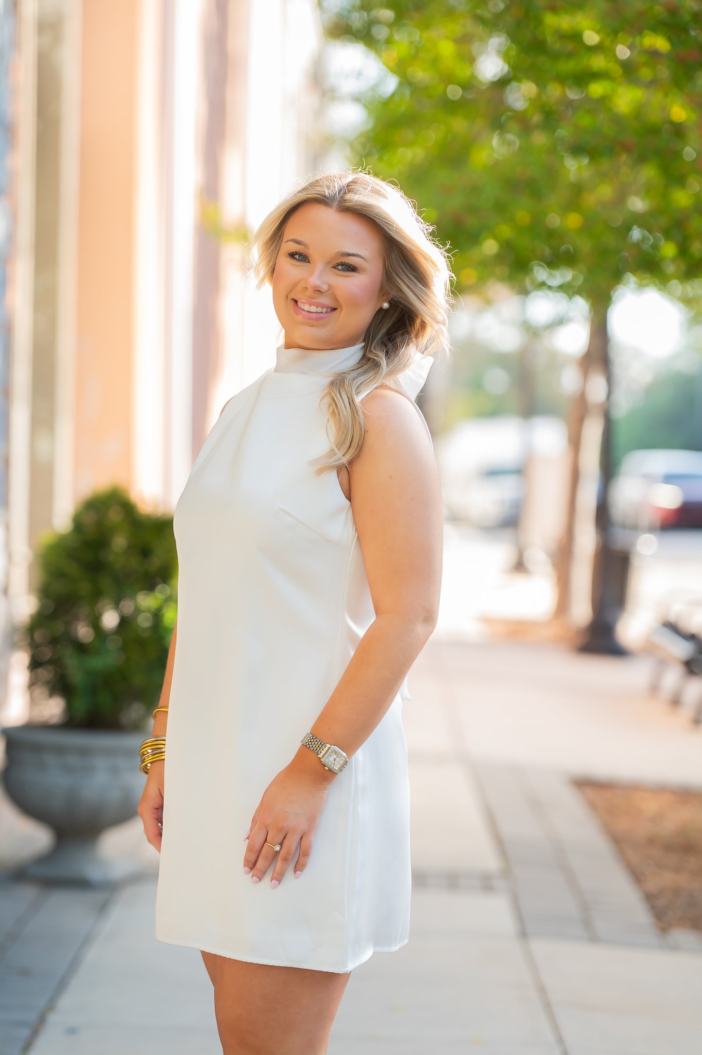 Conway Organza Scarf Satin Dress