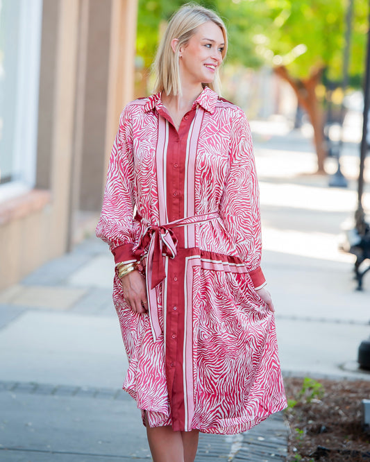 Alice Ann Animal Print Shirt Dress