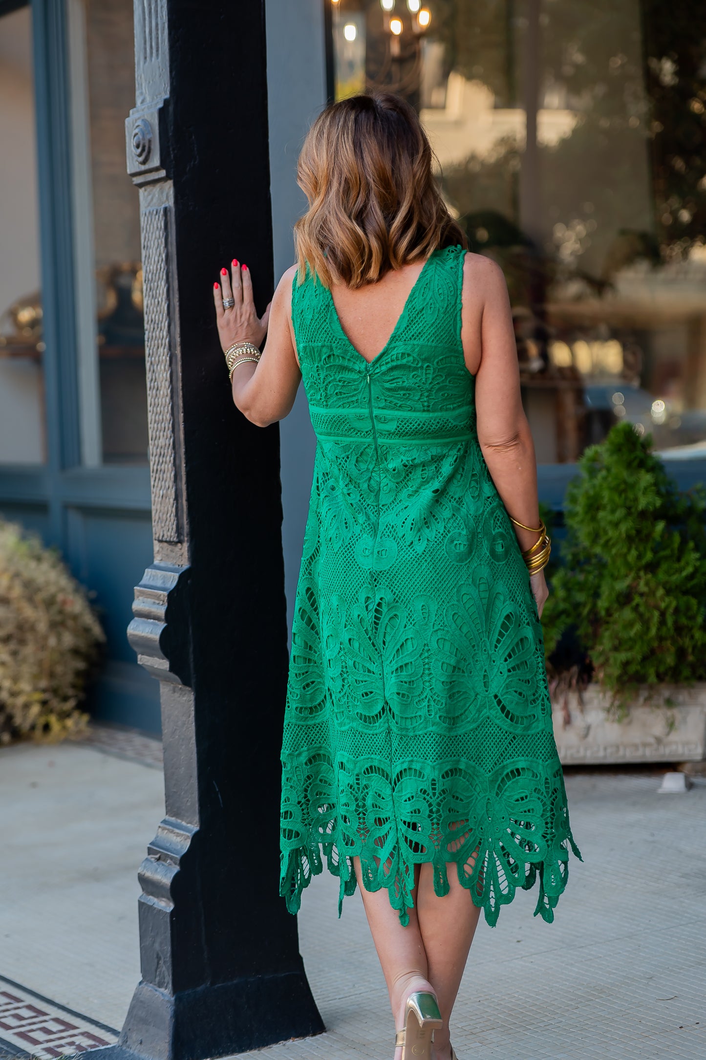 Leclair Embroidered Lace Sleeveless Dress