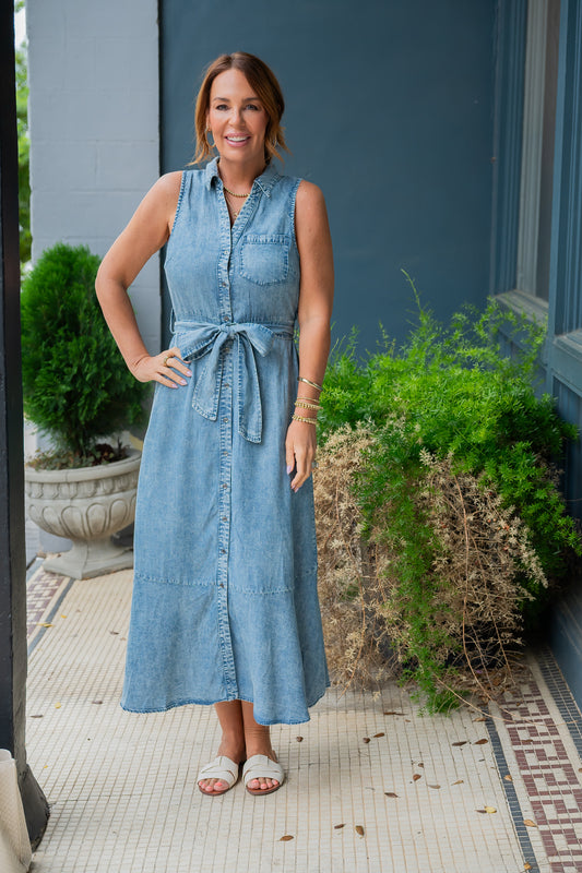 Littleton Button Down Denim Dress