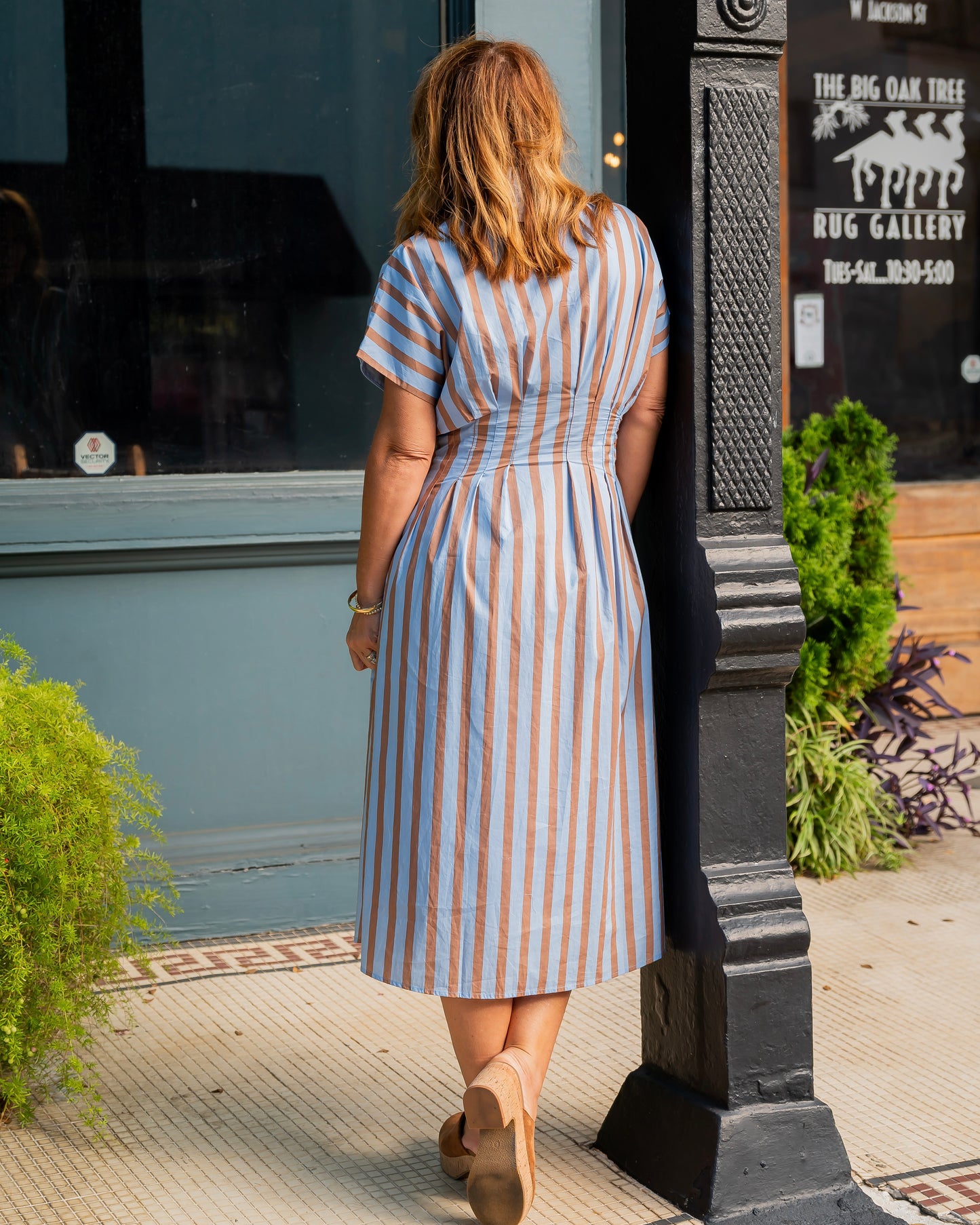 Park Striped Button up Dress