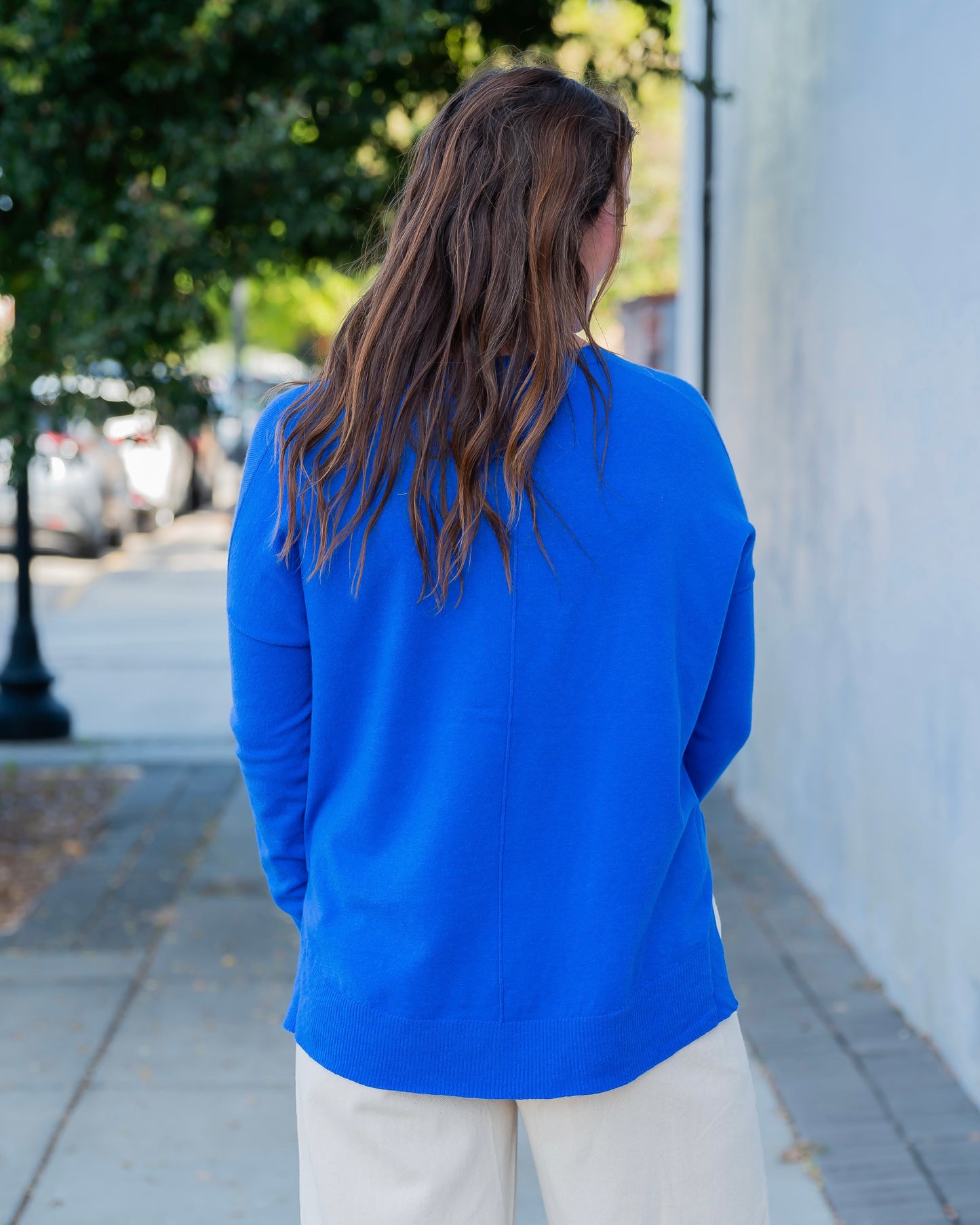 Wagner V-Neck Sweater- Blue