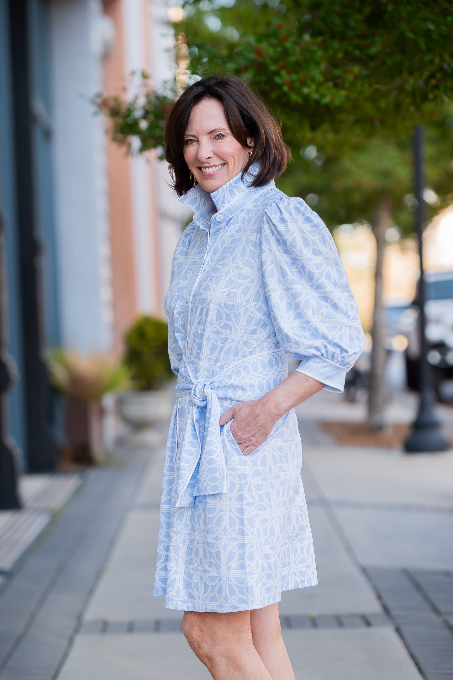 Blair Geometric Print Collard Dress